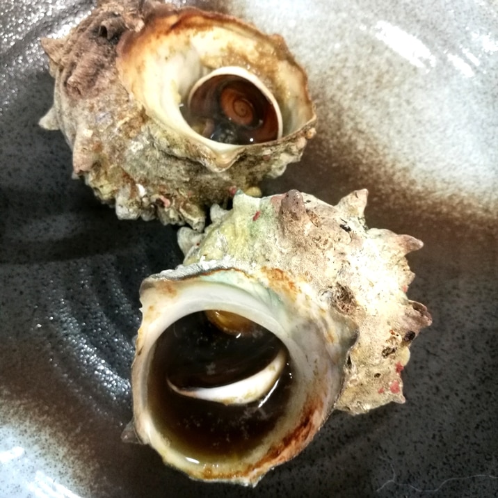 簡単すぎる!グリルで激ウマサザエのつぼ焼き!